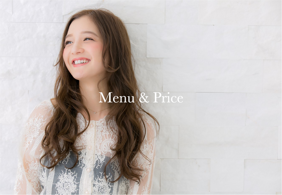 mepimain.png(673954 byte)